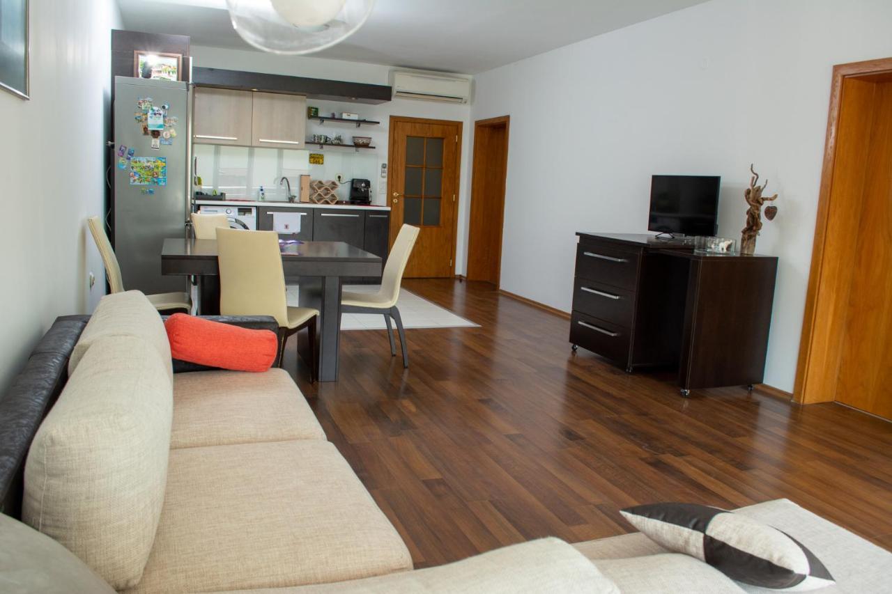 Central Apartment Mountain View カルロヴォ エクステリア 写真