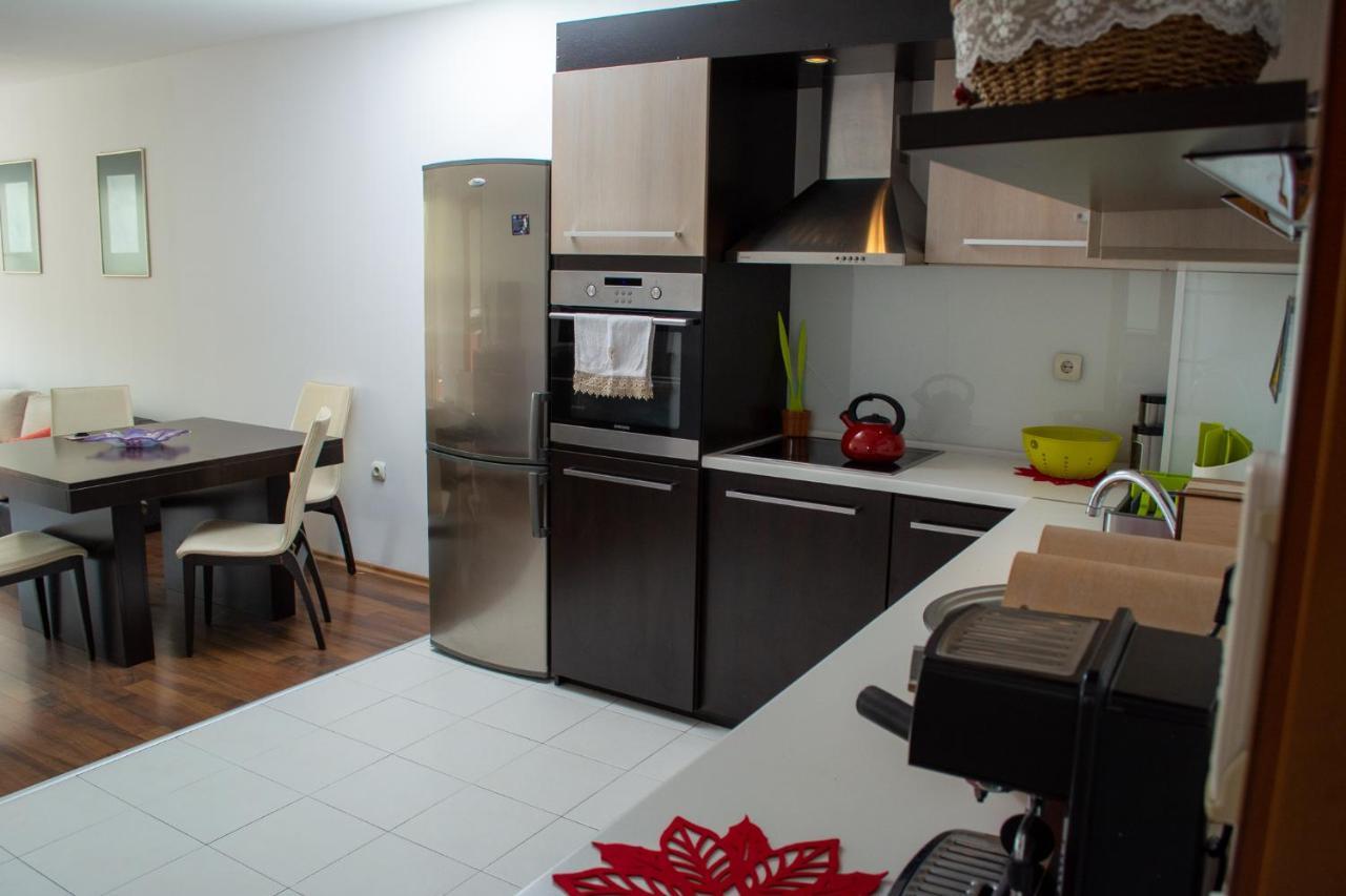 Central Apartment Mountain View カルロヴォ エクステリア 写真